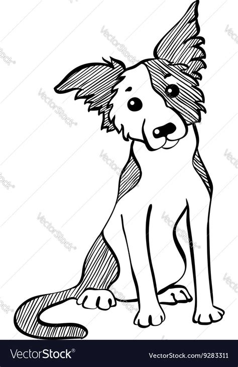 Sketch Funny Border Collie Dog Sitting Royalty Free Vector