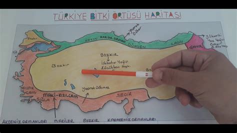 TÜRKİYE NİN BİTKİ ÖRTÜSÜ VE ÖZELLİKLERİ Türkiye dilsiz harita üzerinde