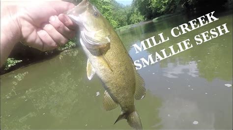 Small Mouth Fishing In Mill Creek YouTube