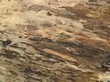 Images of Free Wood Grain Pattern