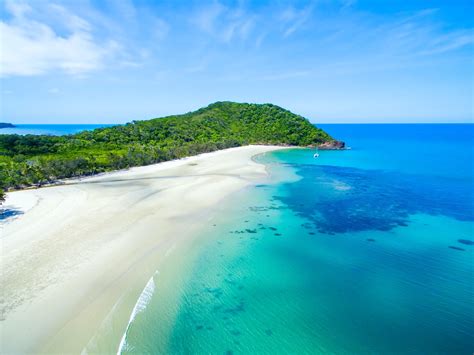 This means that the produce you'll find in cafes and restaurants is the highest quality with the freshest seafood australia has to offer, premium beef and an amazing assortment of fruits that you won't find anywhere else. Make Sure to Visit These Unmissable Beaches in Cairns ...