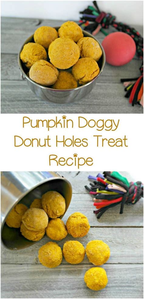 Remove from the processor and roll out on a lightly floured surface. Pumpkin Doggy Donut Holes Hypoallergenic Dog Treat Recipe ...