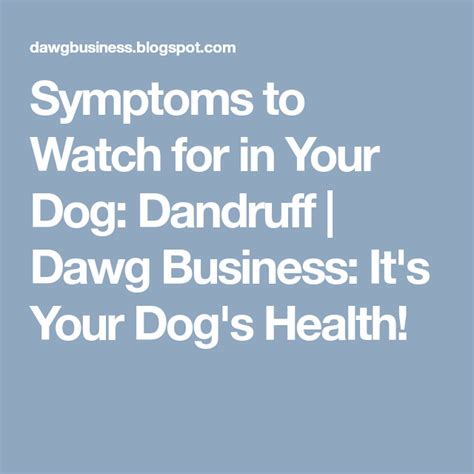 Symptoms To Watch For In Your Dog Dandruff Dawg Business Its Your