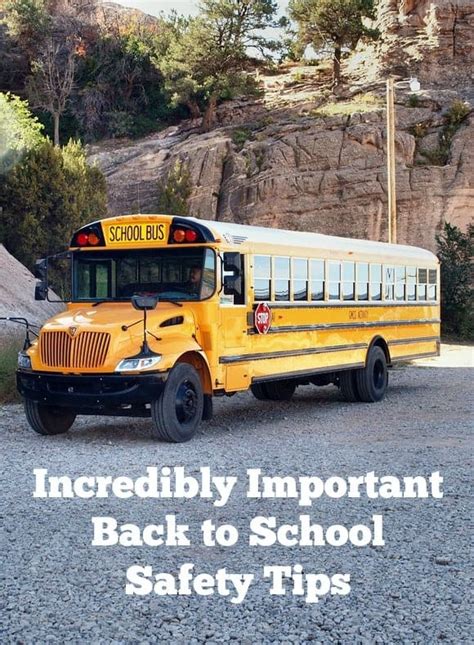 5 Incredibly Important Back To School Safety Tips In Feb 2024