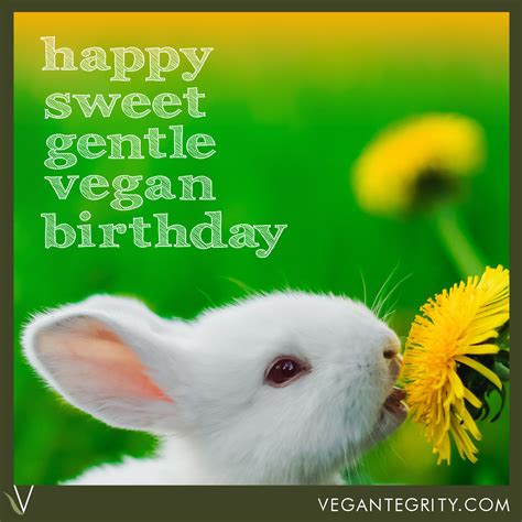 Happy Sweet Gentle Vegan Birthday Happy Vegan Site Hosting Birthday Images Gentle Bunny