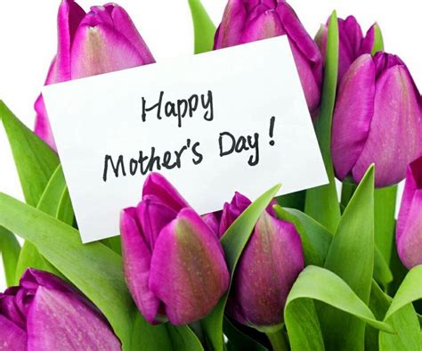 Tulips Bouquet For Moms Happy Mothers Day Pictures Happy Mothers Day
