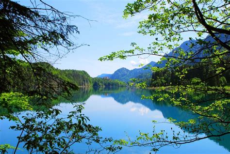 Green Leafed Plant Nature Landscape Trees Lake Mountains Alps