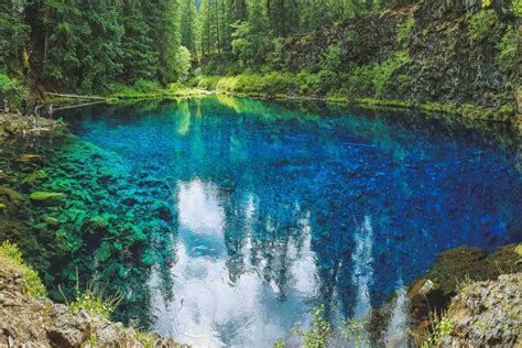 Your Guide To Hiking The Mckenzie River Trail Oregon Is For Adventure