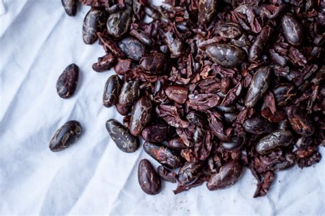 How To Roast Raw Cacao — Will Frolic For Food