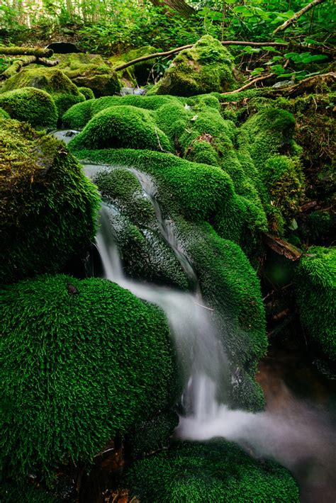 Picture Of Water Flows Down Mossy Rocks — Free Stock Photo