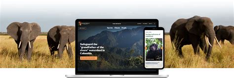 Case Study Rainforest Trust Interactive Strategies Washington Dc
