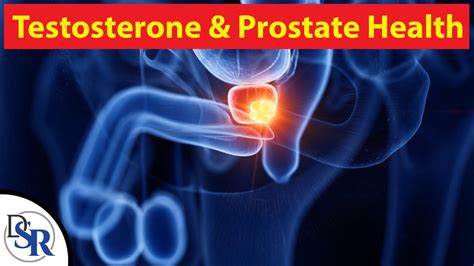 Myth Testosterone Causes Prostate Cancer Youtube