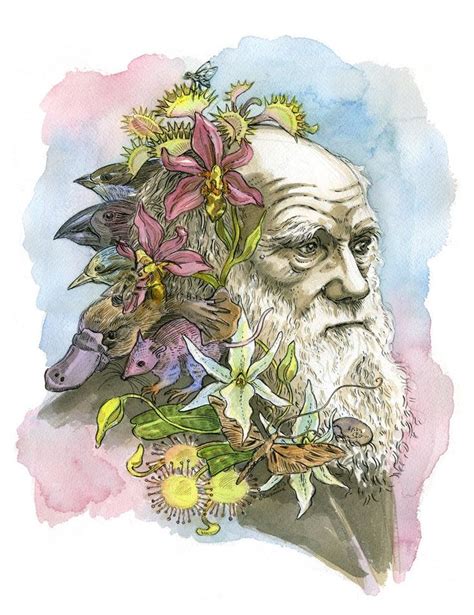 Charles Darwin Ii Portrait Illustration Print In Multiple Etsy