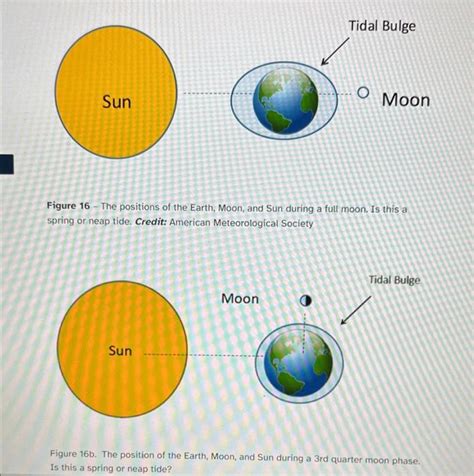 Solved Tidal Bulge Sun O Moon Figure 16 The Positions Of