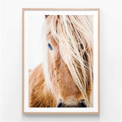 Wild Pony Framed Print Or Canvas Wall Art 41 Orchard
