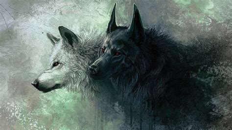 Hd Wallpapers 1366x768 Wolf Wolf Wallpaperspro