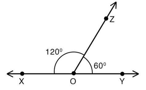 Adjacent Angles Definition Meaning And Examples