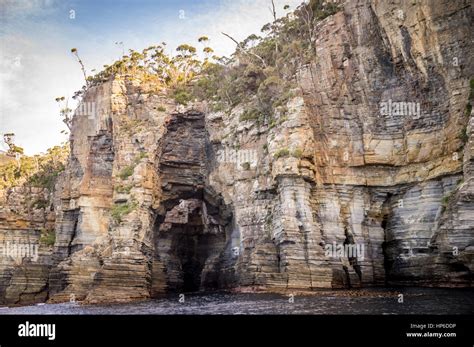 Tasman Arch Tasman National Park Tasmania Australia Stock Photo Alamy