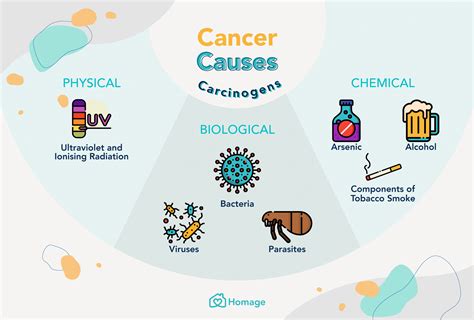Cancer Signs Causes Treatment Prevention Homage