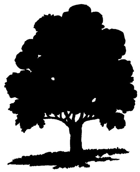 Oak Tree Clip Art Black And White ~ Oak Tree Clipart Black White 10