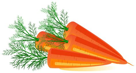 Carrots Clipart Carot Carrots Carot Transparent Free For Download On