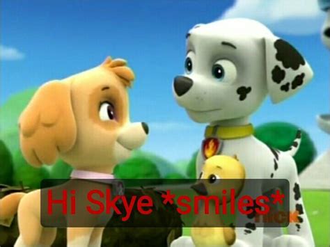 Funny Paw Patrol Memes And Pics 1 Highest Ranking Marshall And