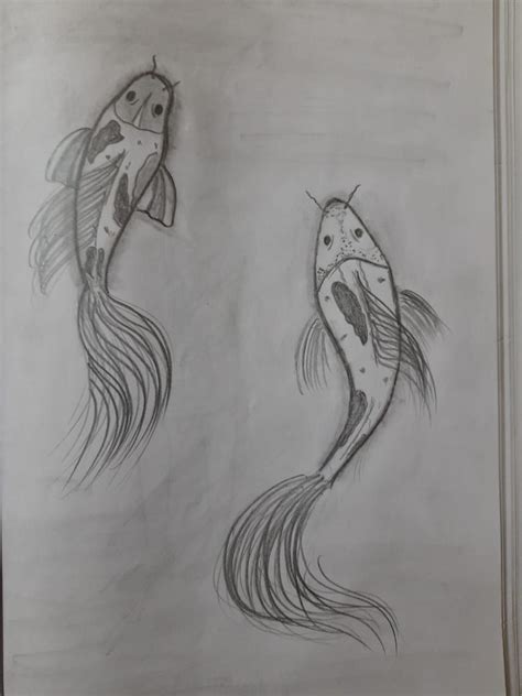 Pencil Sketching Of Koi Fish Fish Drawings Koi Fish Drawing Koi Fish