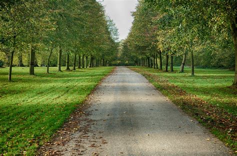 Free Images Tree Nature Forest Path Grass Road Trail Field