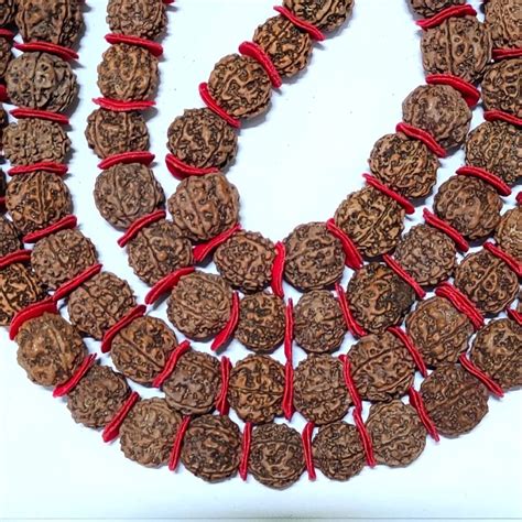 Big Rudraksha Mala 108 Beads Kashi Pujan