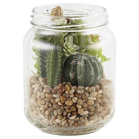 Check out this wedding flower checklist for all the other times you might want to use fresh blooms at your event. Tesco direct: Cactus in Glass Jar | Plants in jars, Glass ...
