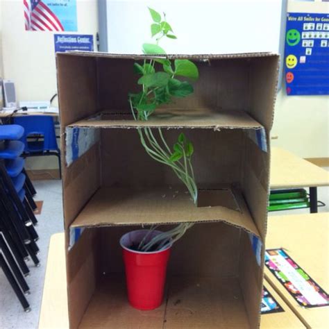 How to make colored flowers, including stripes. Science Fair- plant maze | Science Fair | Pinterest | Maze ...