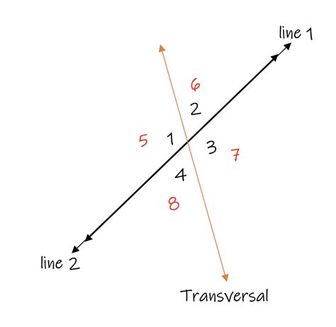 Parallel Lines And Transversals