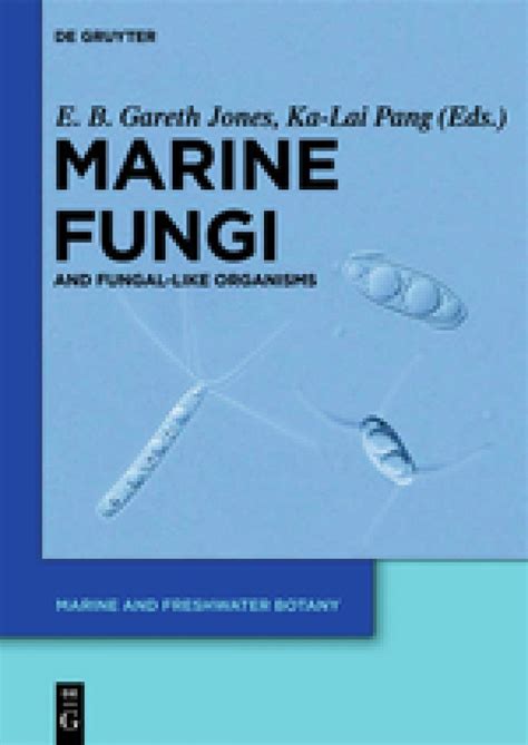 Marine Fungi And Fungal Like Organisms Nhbs Academic And Professional Books