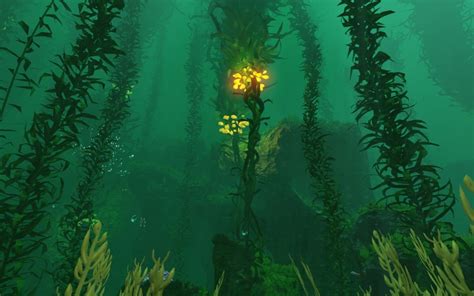 Kelp Forest Subnautica Wikia Fandom