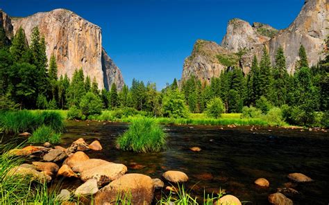 Yosemite Cliffs Mountain Reflection Trees Ultra 2560x1600 Hd Wallpaper