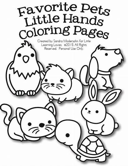 Coloring Pet Pages Pets Printable Worksheets Super