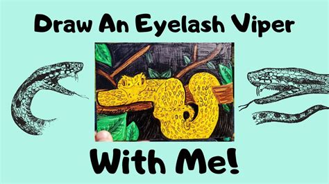 Draw With Me Eyelash Viper Youtube