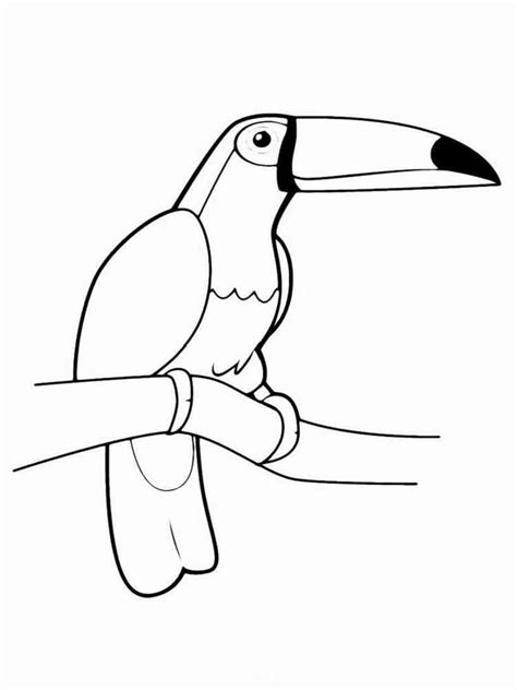 Toucan coloring page realistic keel billed free printable. Toucan coloring pages. Download and print Toucan coloring ...