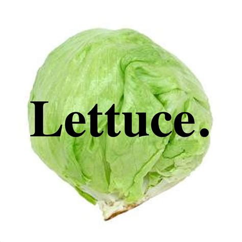 Two Guys Talking About Lettuce A Podcast On Anchor