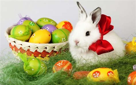 Bunnies With Eggs Wallpapers Wallpaper Cave
