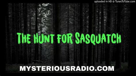 The Hunt For Sasquatch Mysterious Radio Youtube