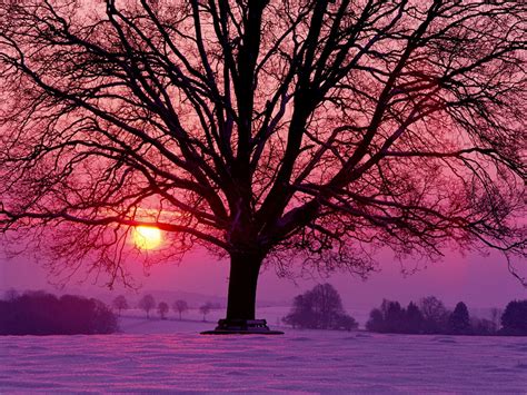 Majestic sunset. | Sunset nature, Winter sunset, Sunset ...
