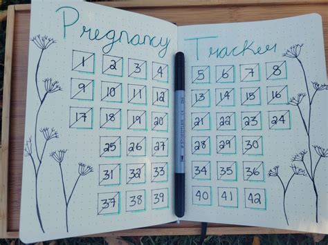 how to use a bullet journal to track pregnancy artofit