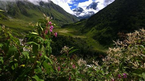 Guided Trek To The Valley Of Flowers Hemkund Sahib And Badrinath