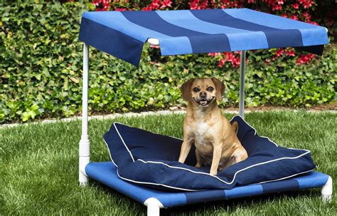 How To Build An Outdoor Dog Bed Outdoor Dog Bed Dog Pet Beds