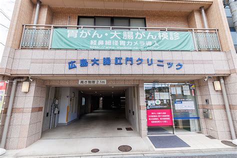 販売済み 大腸・肛門外科