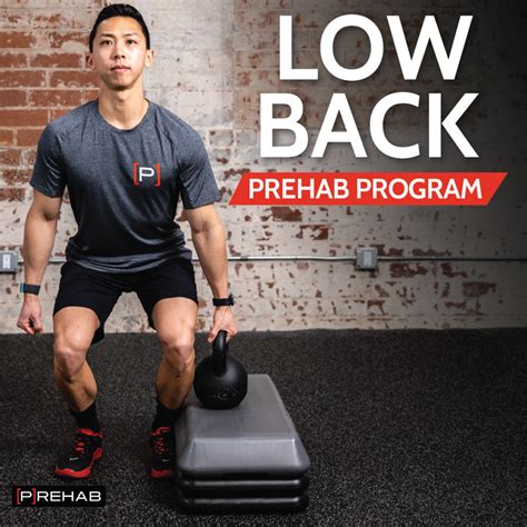 Low Back P Rehab Program Online Physical Therapy The Prehab Guys