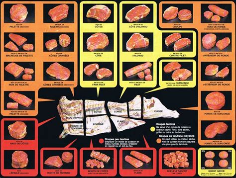 Comment S En Procurer Coupes De Boeuf Viande De Veau Boeuf