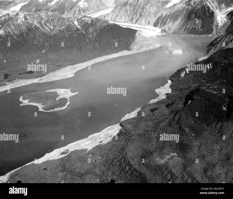 Damage From 1958 Lituya Bay Tsunami Aerial Photograph From August 1958