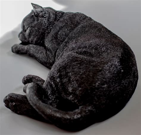 Urn Sleeping Cat Black Cremation Urn Pet Ashes Memorial Etsy